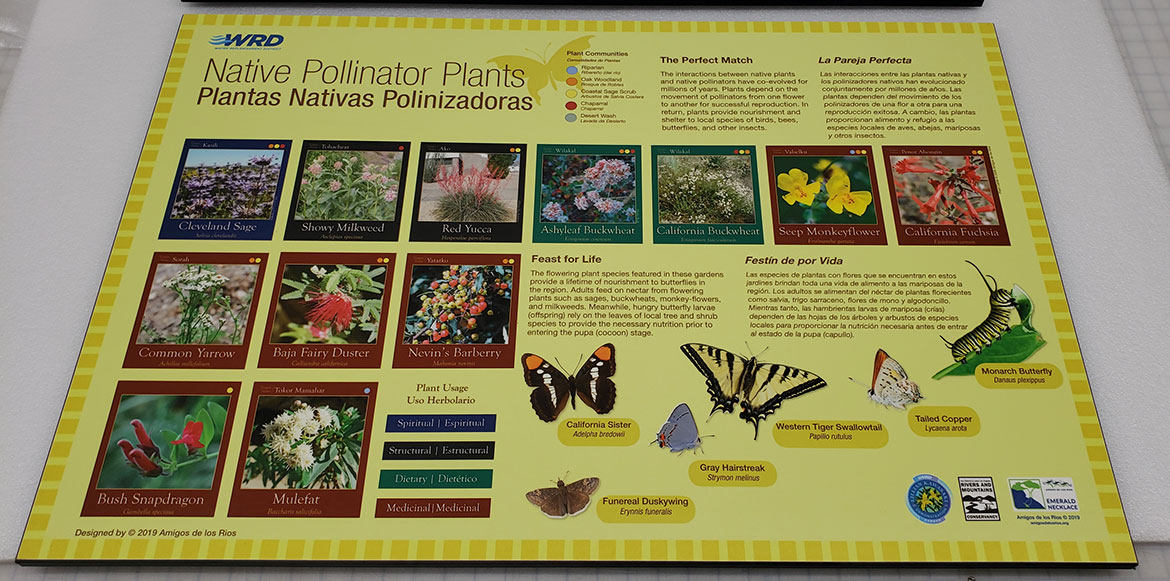 Native Pollinator Plants